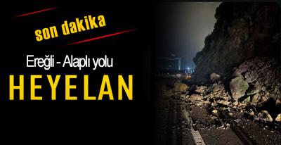 EREĞLİ -ALAPLI YOLUNDA HEYELAN