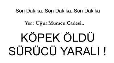 EREĞLİ\'DE KAZA, KÖPEK ÖLDÜ SÜRÜCÜ YARALI !