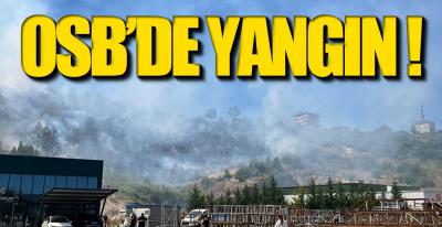 OSB BÖLGESİNDE ORMAN YANGINI !