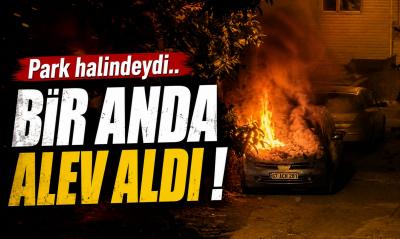 PARK HALİNDEYDİ , BİR ANDA ALEV ALDI !