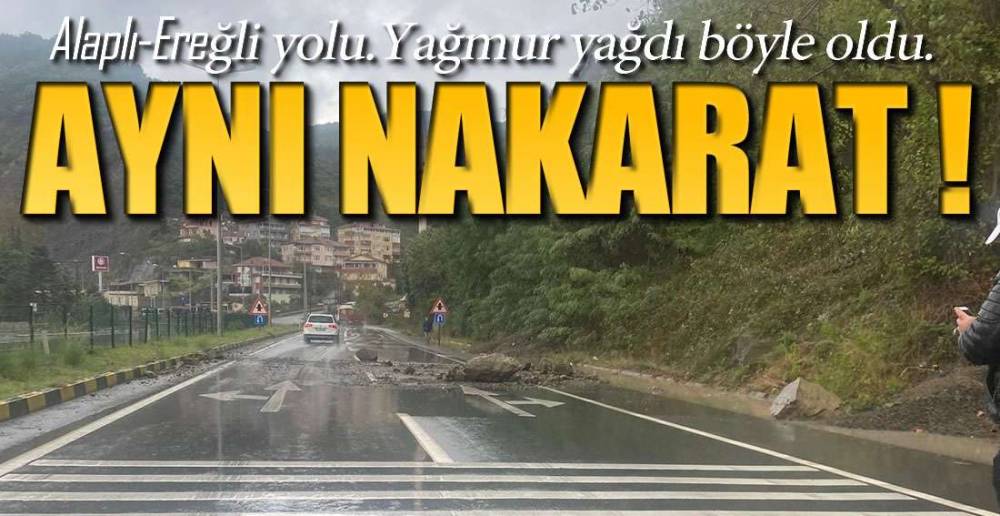 EREĞLİ-ALAPLI YOLUNDA BİLİNDİK MANZARA !