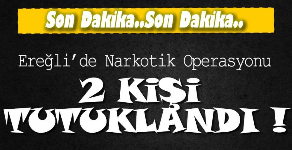 EREĞLİ'DE 2 KİŞİ TUTUKLANDI
