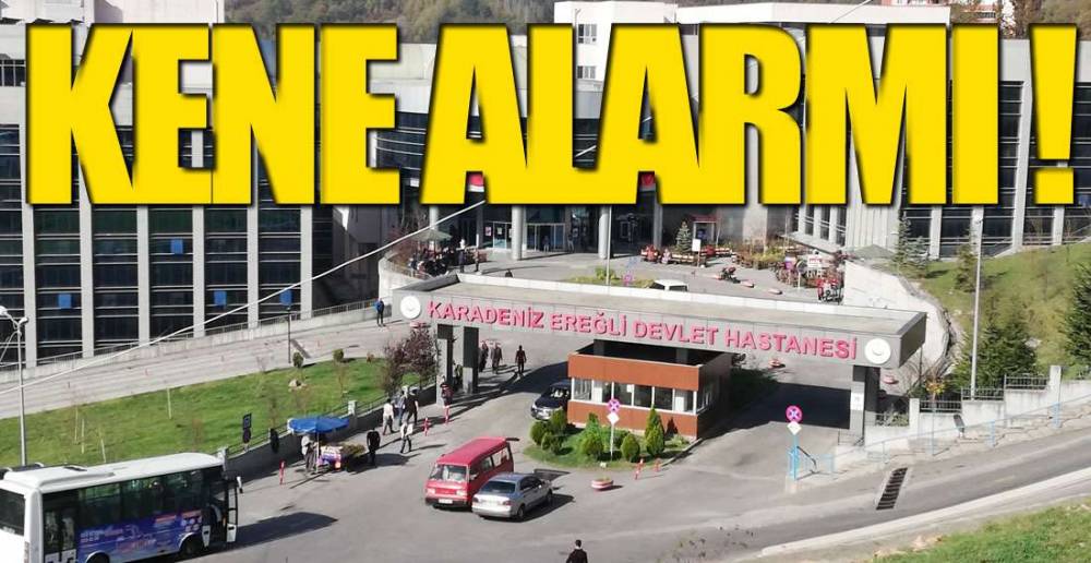 EREĞLİ'DE KENE ALARMI !