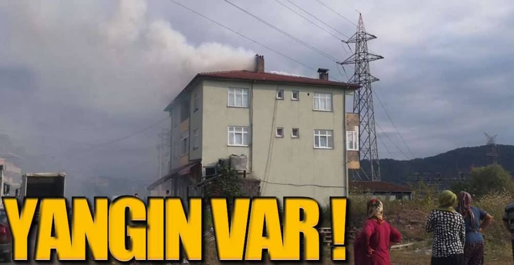 EREĞLİ'DE YANGIN !