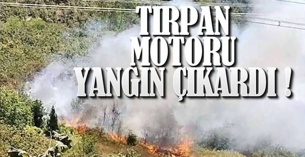 EREĞLİ\'DE YANGIN PANİĞİ !
