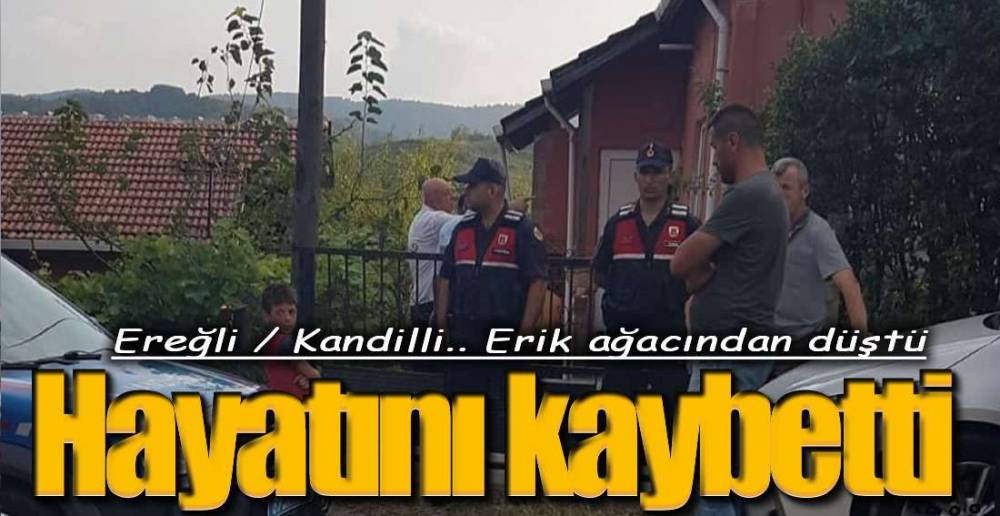 ERİK AĞACINDAN DÜŞTÜ, HAYATINI KAYBETTİ.