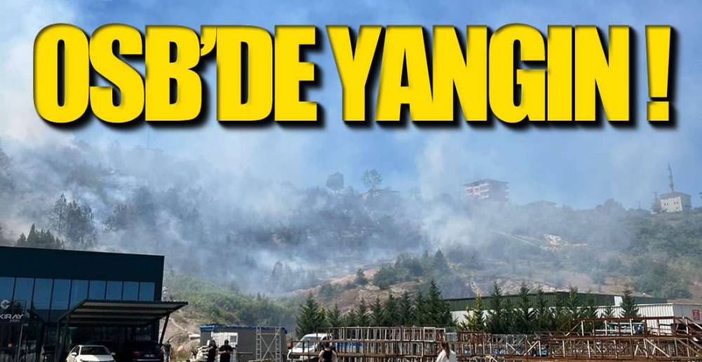 OSB BÖLGESİNDE ORMAN YANGINI !