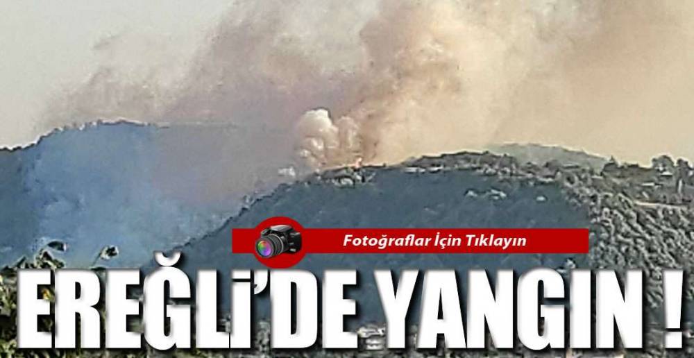 TOPÇALI'DA YANGIN VAR !