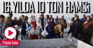 16. HAMSİ FESTİVALİ DEVAM EDİYOR