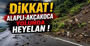 ALAPLI -AKÇAKOCA YOLUNDA HEYELAN !