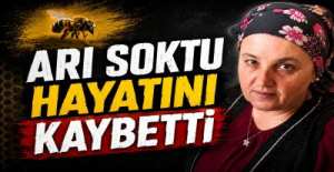 EREĞLİ\'DE ACI OLAY ; ARI SOKTU HAYATINI KAYBETTİ