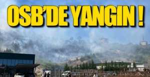 OSB BÖLGESİNDE ORMAN YANGINI !