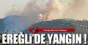 TOPÇALI'DA YANGIN VAR !