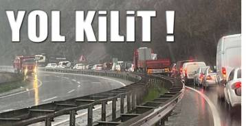 ALAPLI-EREĞLİ YOLUNDA BİLİNDİK MANZARA !