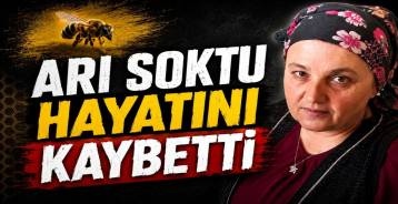 EREĞLİ\'DE ACI OLAY ; ARI SOKTU HAYATINI KAYBETTİ