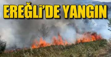 EREĞLİ'DE YANGIN ALARMI !