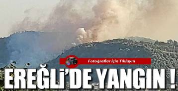 TOPÇALI'DA YANGIN VAR !