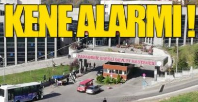 EREĞLİ'DE KENE ALARMI !