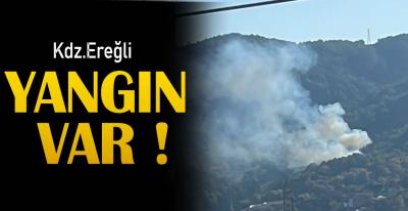 EREĞLİ'DE YANGIN , EKİPLER BÖLGEYE SEVK EDİLDİ