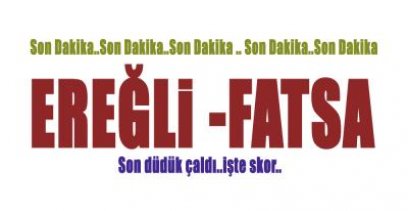 FATSA'DAN 3 PUANLA DÖNÜYORUZ : 0-1