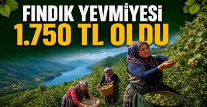 FINDIK FİYATI AÇIKLANMADAN GÜNLÜK ÜCRET AÇIKLANDI