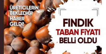 MERAKLA BEKLENEN FINDIK FİYATI AÇIKLANDI