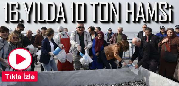 16. HAMSİ FESTİVALİ DEVAM EDİYOR