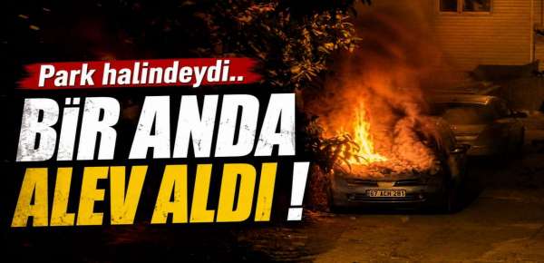PARK HALİNDEYDİ , BİR ANDA ALEV ALDI !